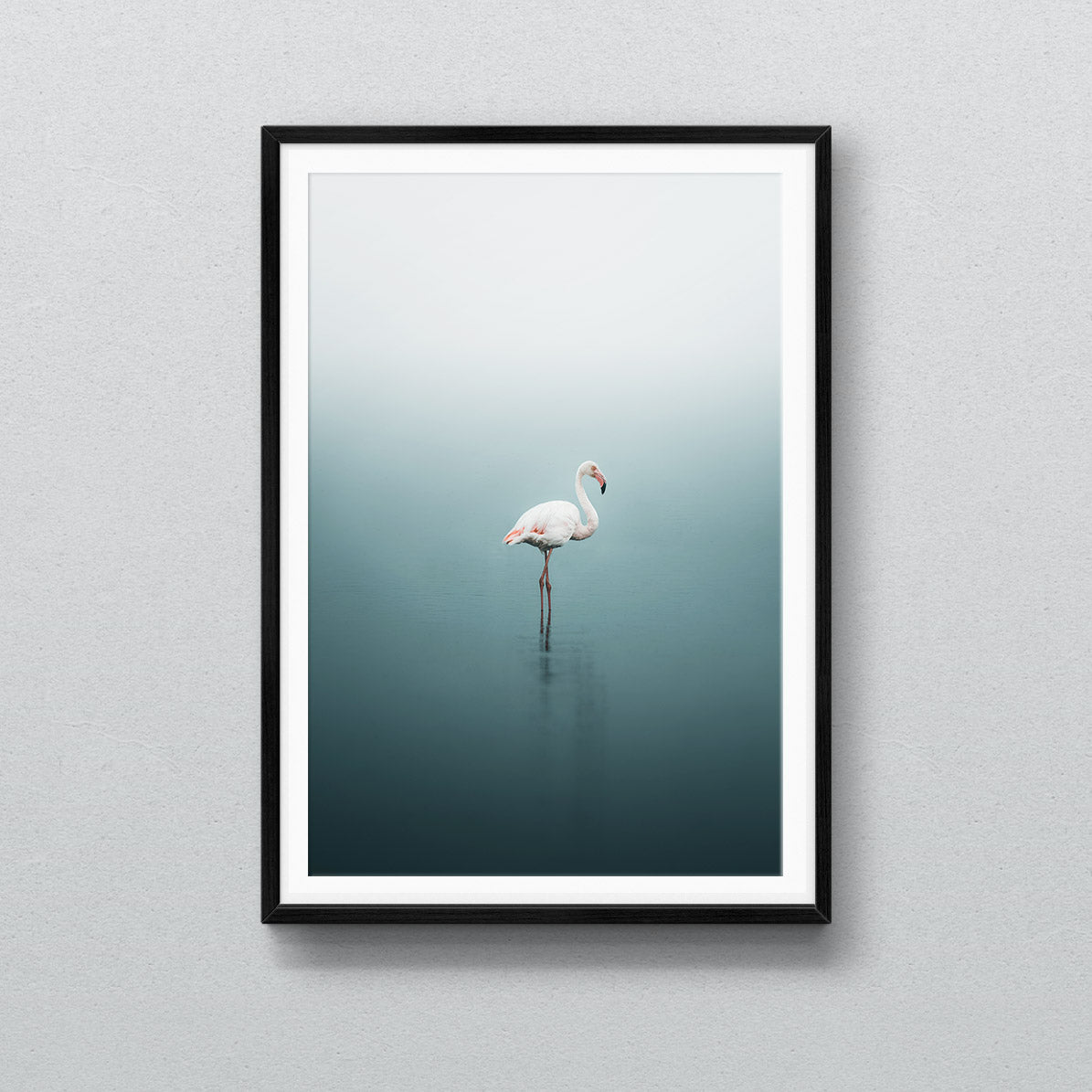 Flamingo-Framed.jpg