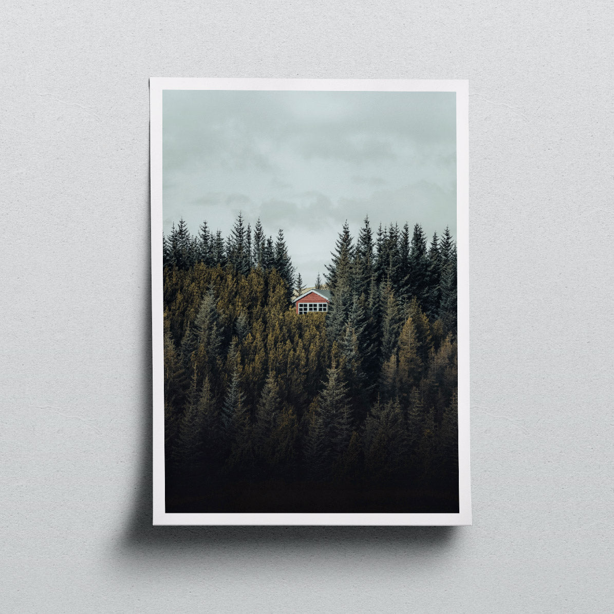 The Lonely Cabin